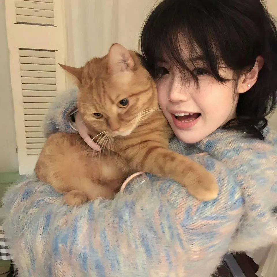 兔侠之青黎传说